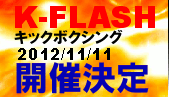 K-FLASH